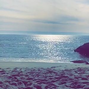 Meet your Posher, Abigail